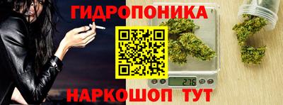 соль ск Свободный