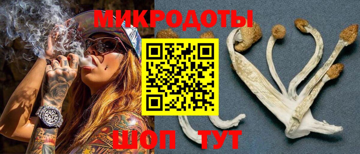 Псилоцибиновые грибы прущие грибы Отрадный