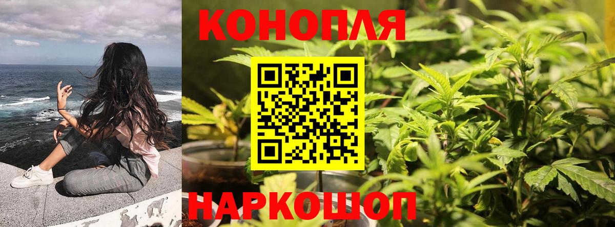 Марихуана конопля  Бошки марихуана индика  Отрадный  Бошки марихуана планчик  Вход с VPN 